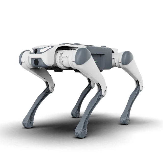 Lite3 Basic AI