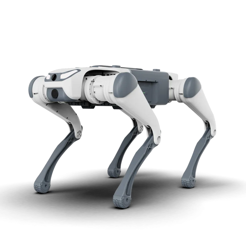 Lite3 Basic AI