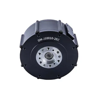 Damiao DM-J10010-2EC