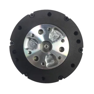 Damiao DM-J4310-2EC-24V