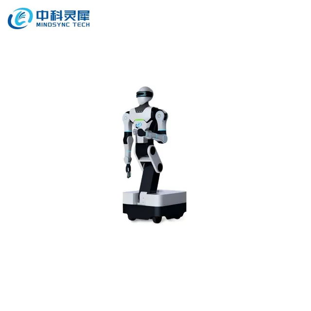 MINDSYNC TECH LSROBOT-001 Robot