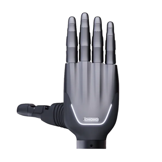 CHOHO Hand