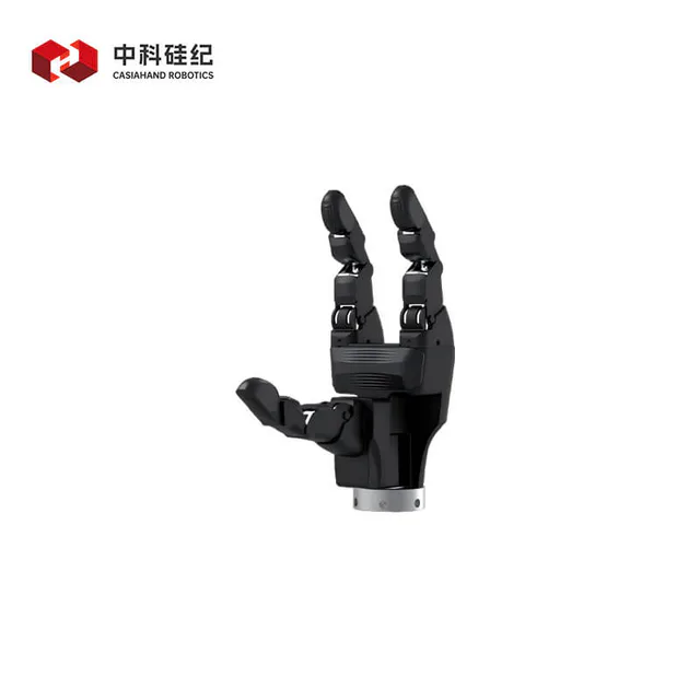 CASIA HAND G