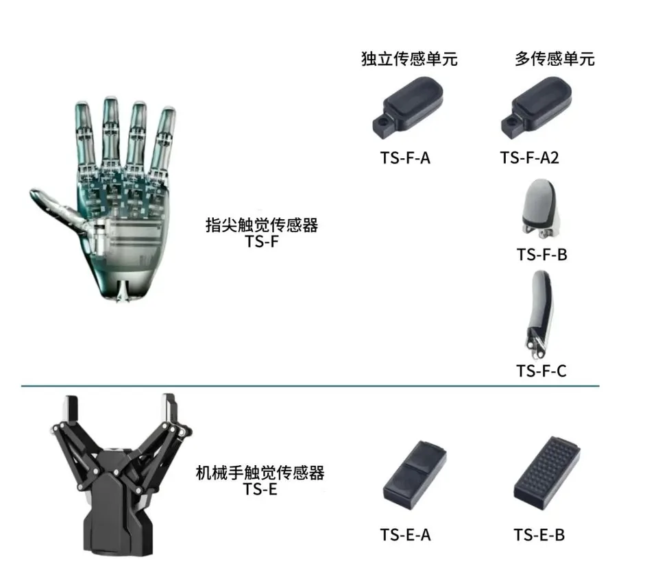 Tashan AI Haptic