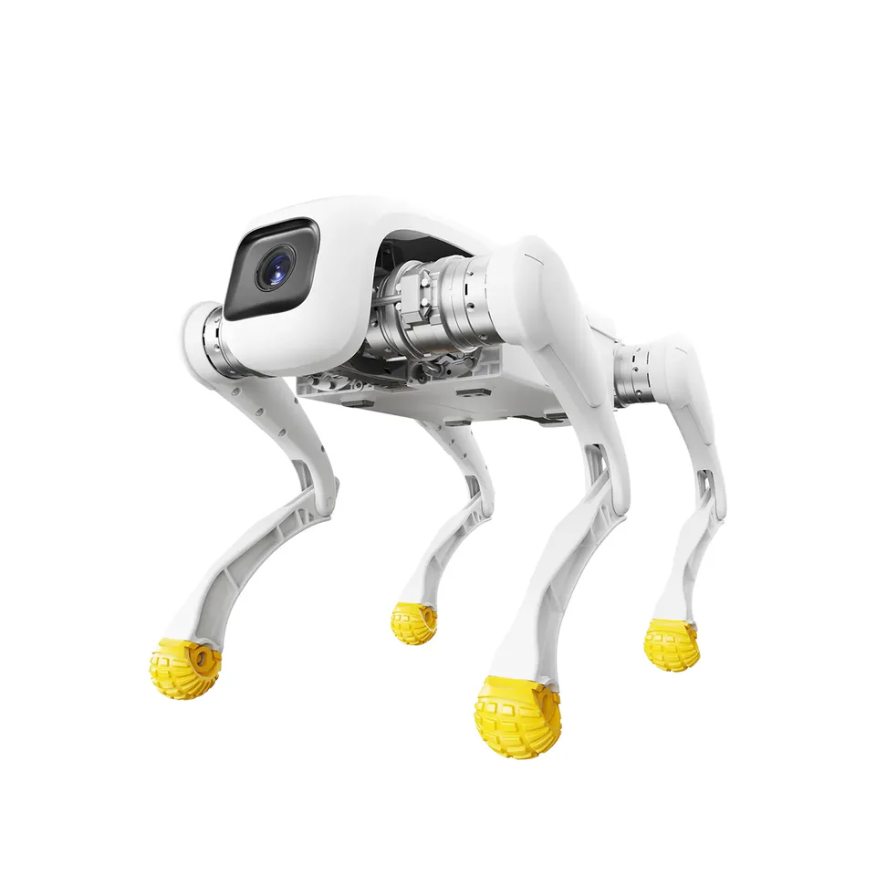 AGIBot D1