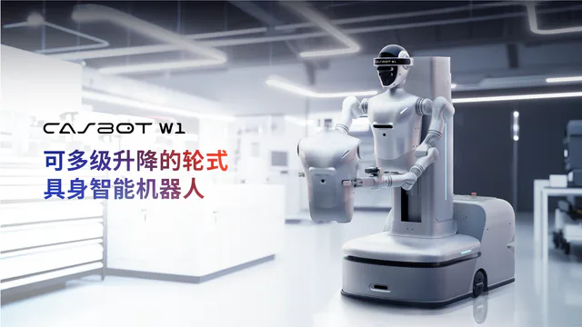 CASBOT W1 Robot