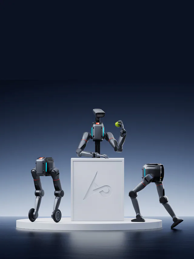 Limx TRON2 Biped Robot