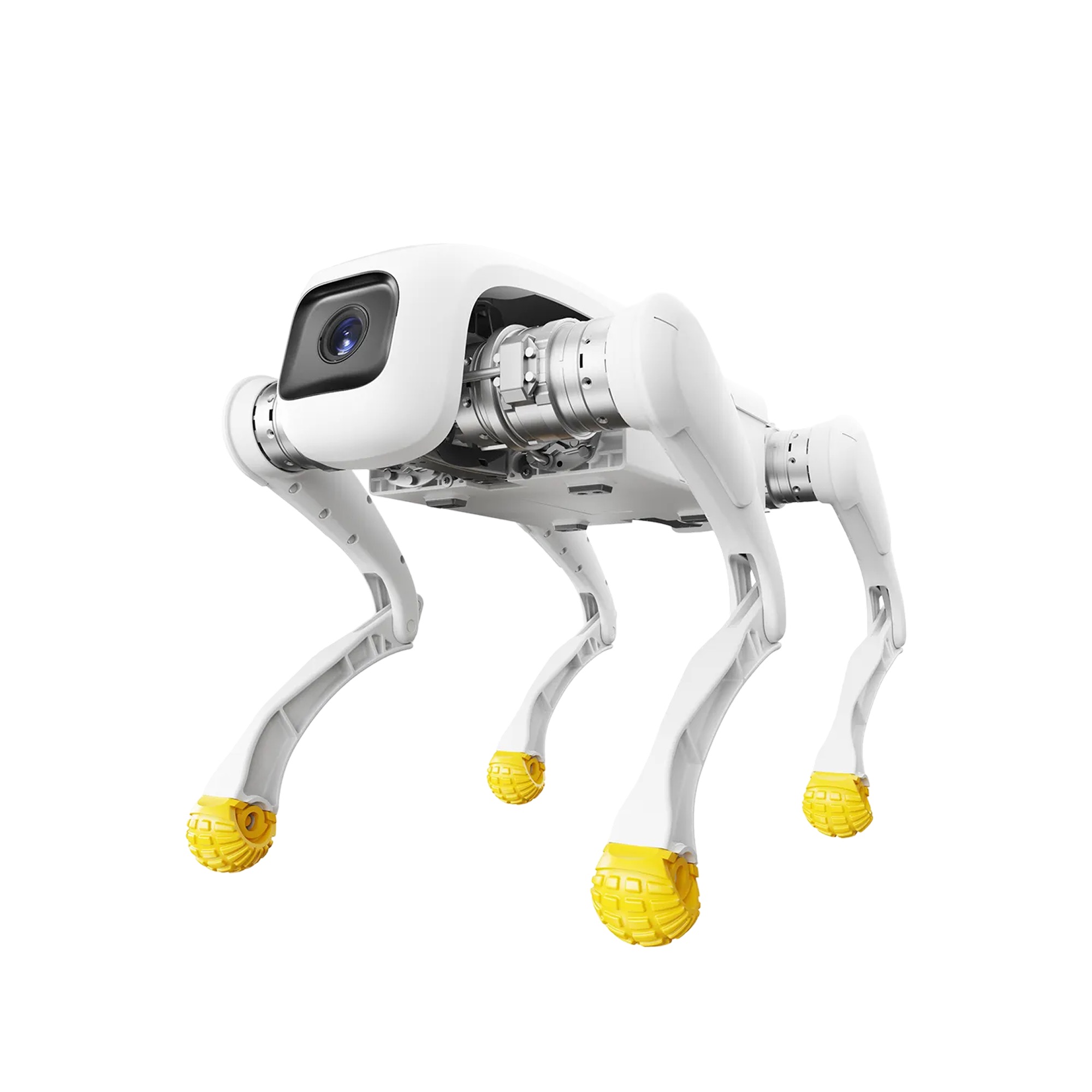 AGIBot D1