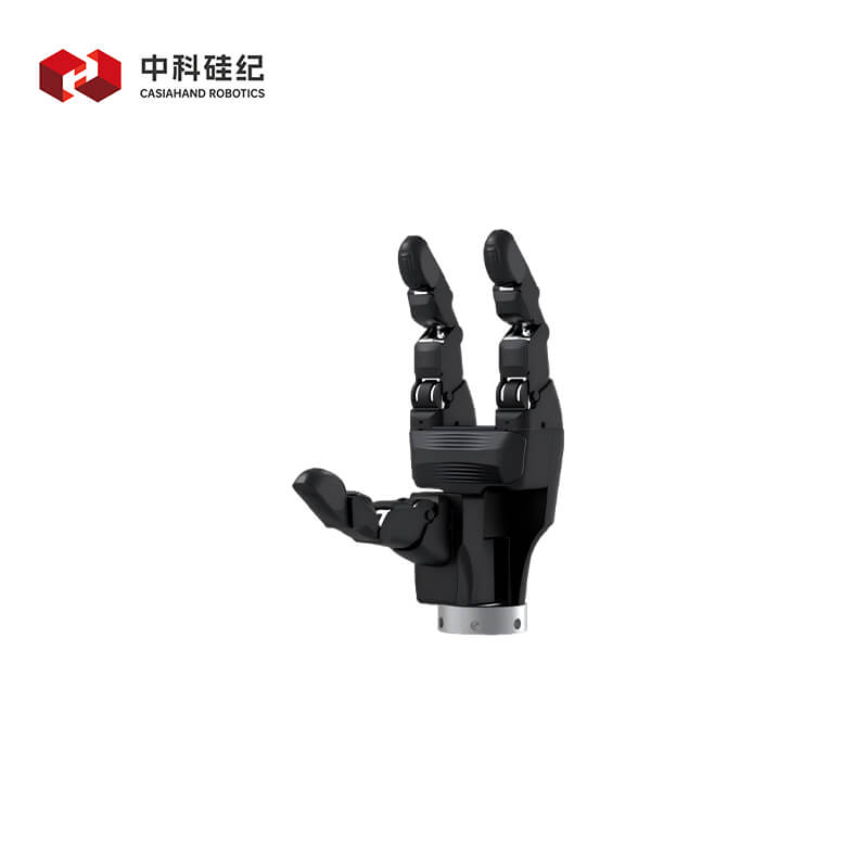 CASIA HAND G