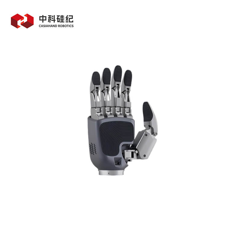 CASIA HAND M