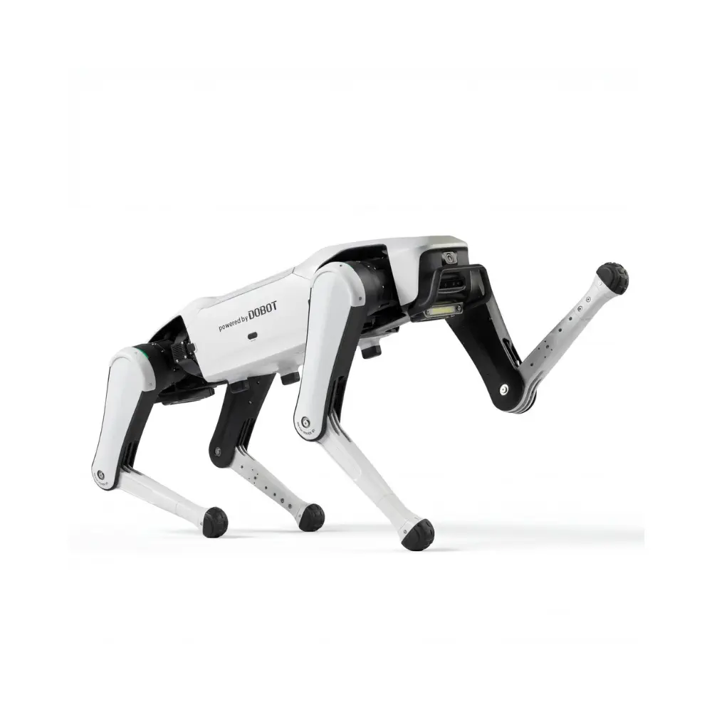 Dobot Explorer Education