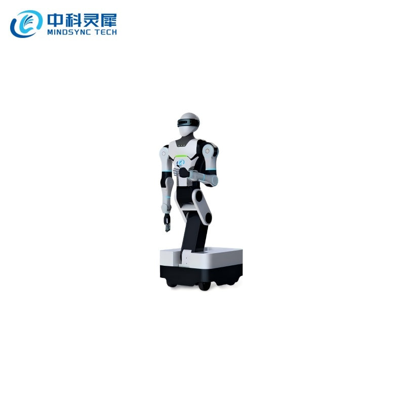 MINDSYNC TECH LSROBOT-001 Robot