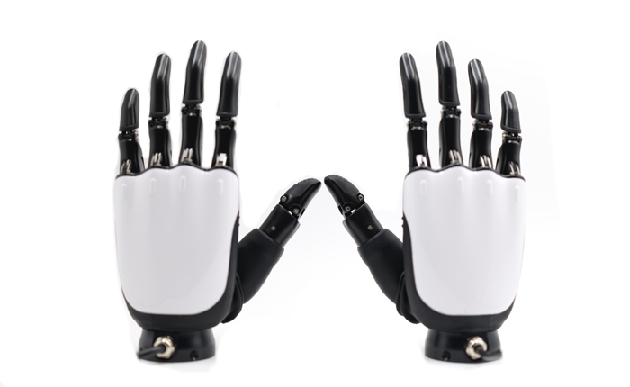 OYMotion ROH-A002 Dexterous Hand