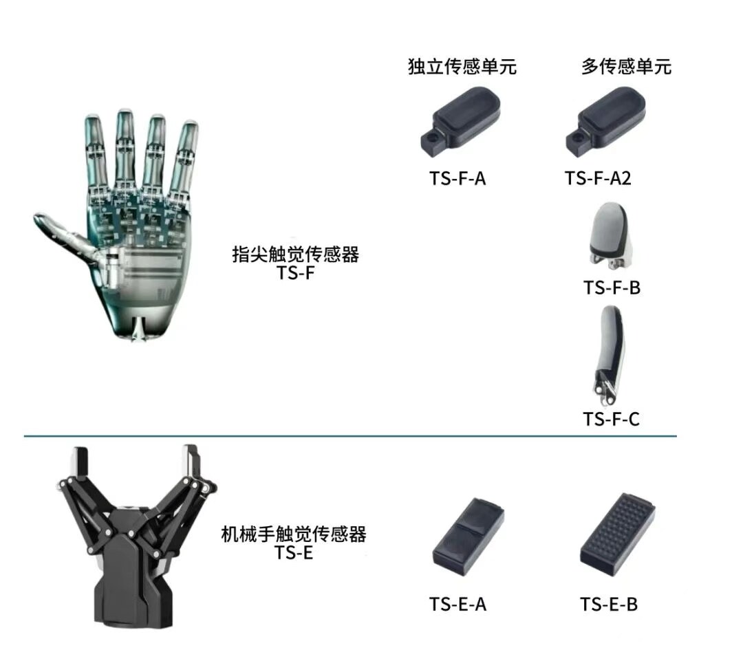 Tashan AI Haptic
