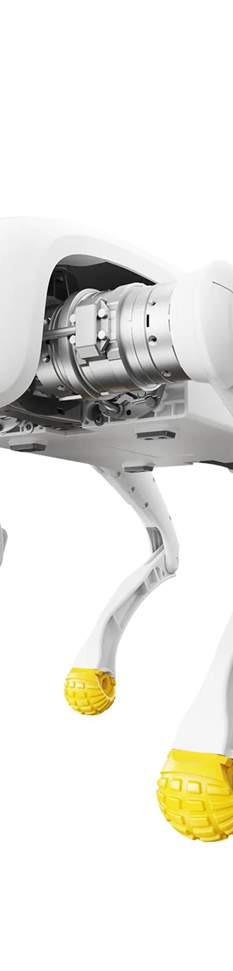 AGIBot D1