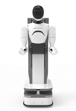 AGIBot G1