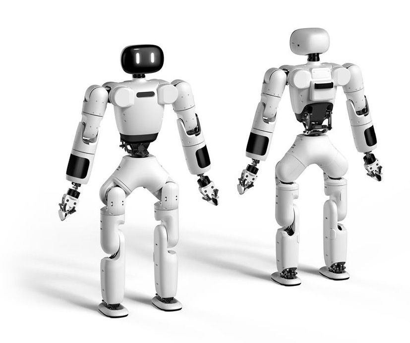 AGIBot - Day Rental