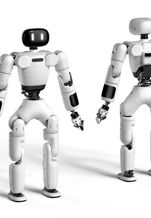 AGIBot - Day Rental