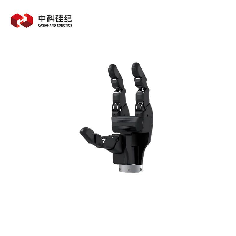 CASIA HAND G