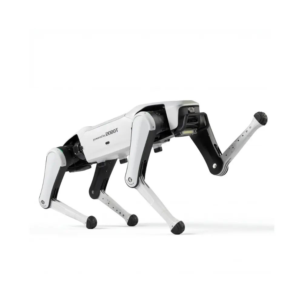 Dobot Explorer Education