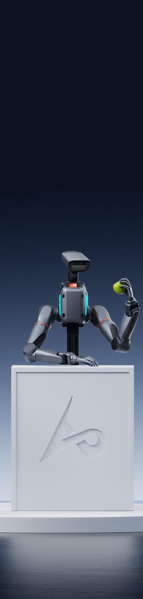 Limx TRON2 Biped Robot