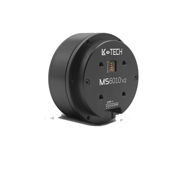 LKMTECH MS6010-V3 Motor