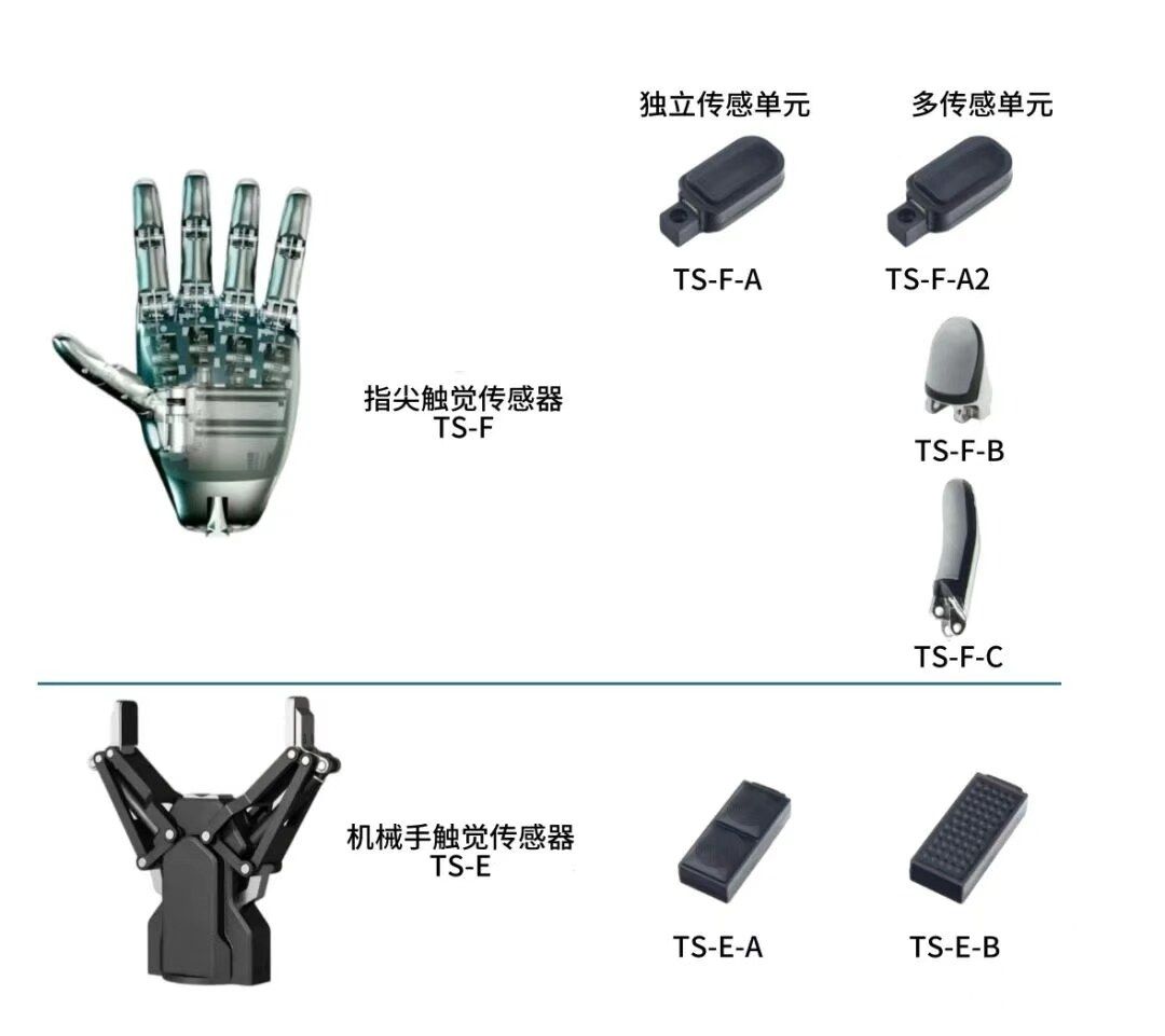 Tashan AI Haptic