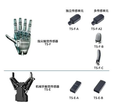 Tashan AI Haptic
